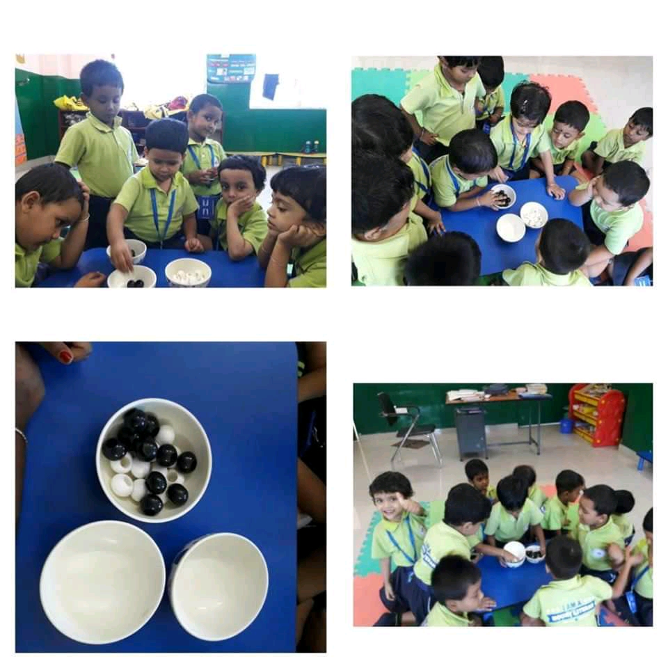 Events-MLZS